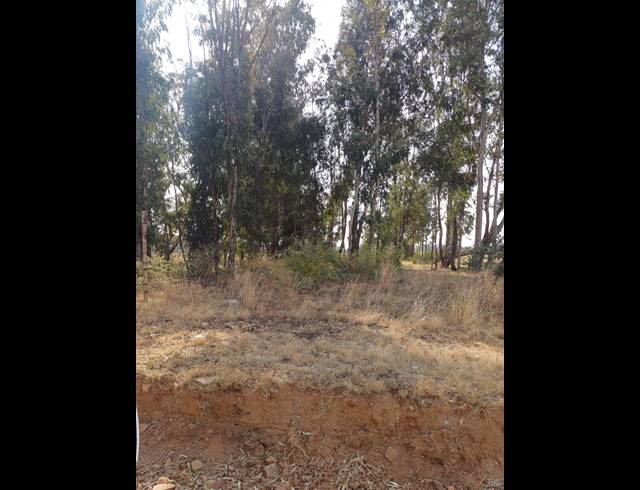 16HA VACANT LAND FOR SALE IN WALKER FRUIT FARMS